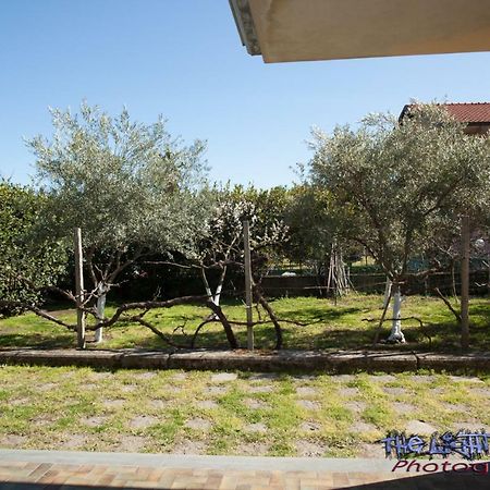 Etna Travellers B&B Mascalucia Dış mekan fotoğraf