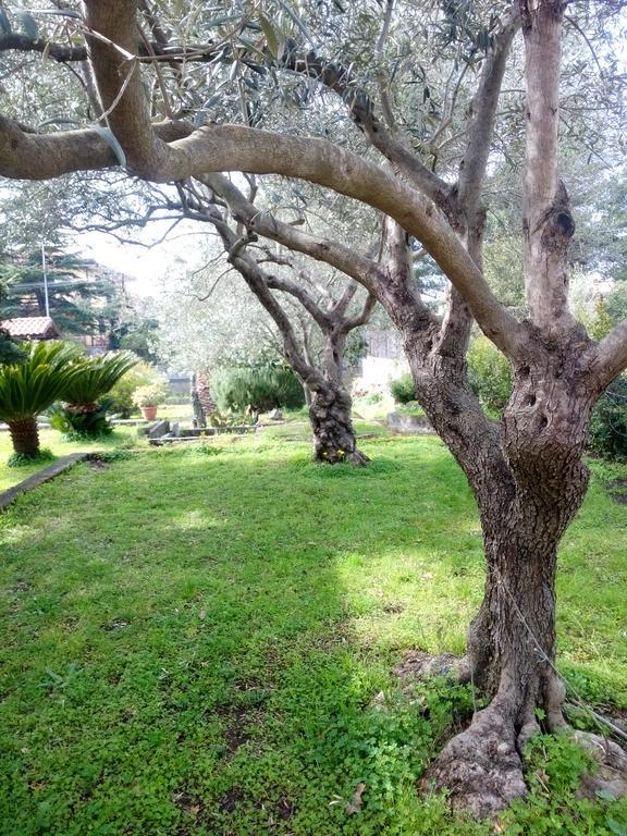 Etna Travellers B&B Mascalucia Dış mekan fotoğraf