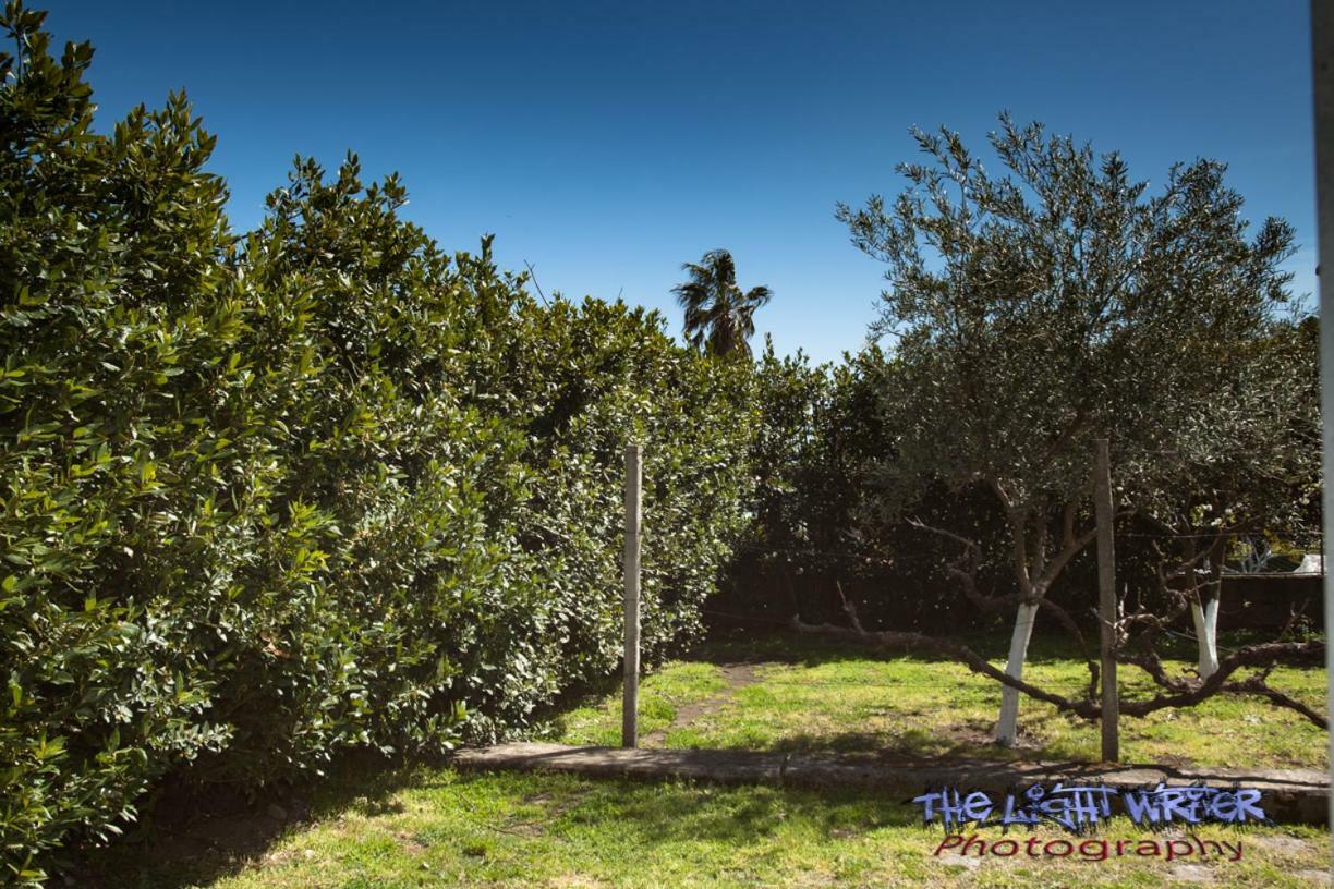 Etna Travellers B&B Mascalucia Dış mekan fotoğraf